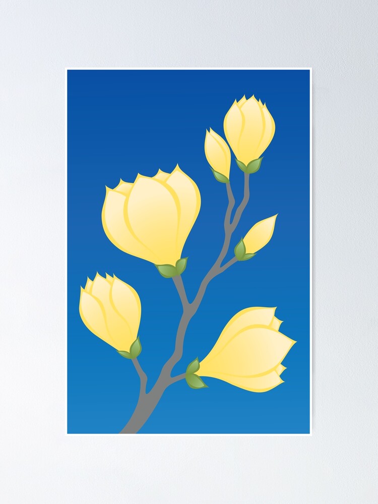 Póster «Magnolias, rama de árbol de flores amarillas.» de RyanMcgurl |  Redbubble