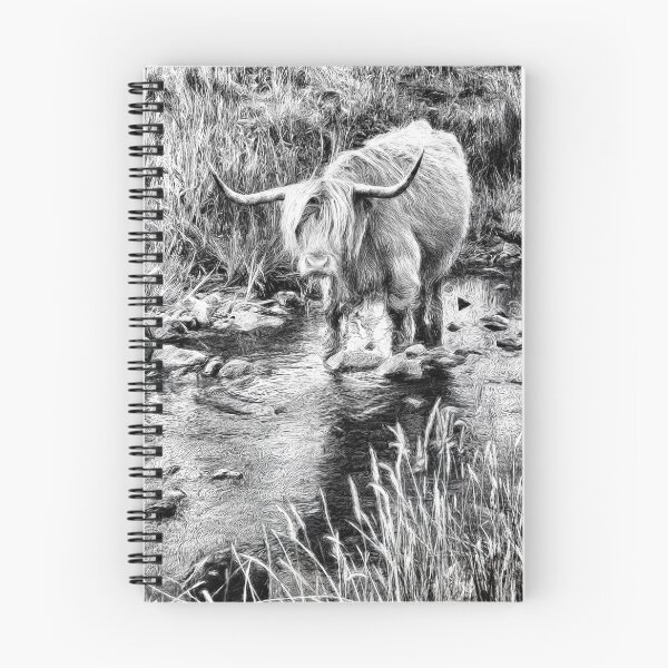 Item preview, Highland Cow Sketch Ballygown Isle of Mull. Scotland. designed and sold by PhotosEcosse.