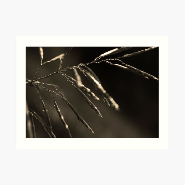Dreamcatcher: Meteor Art Print