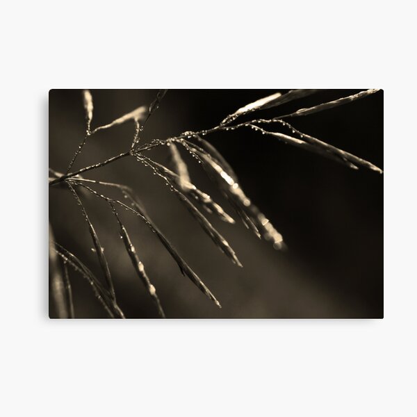 Dreamcatcher: Meteor Canvas Print