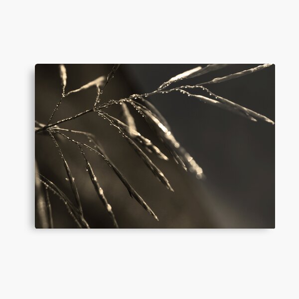 Dreamcatcher: Meteor Metal Print