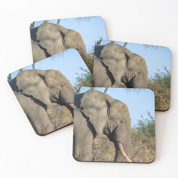 Item preview, African Elephant Profile, Golden Hour designed and sold by SafariByMarisa.