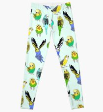 budgie doodle pattern Leggings