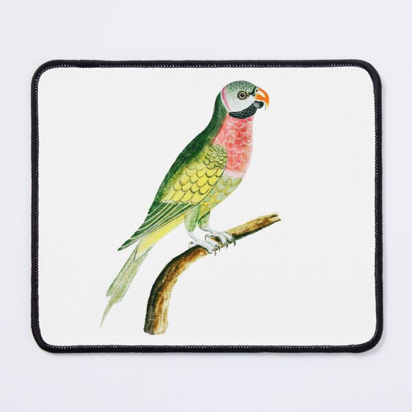 Item preview, Cute Colorful Bird design, Animals style designed and sold by Dven-Clothes.
