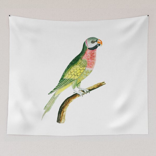 Item preview, Cute Colorful Bird design, Animals style designed and sold by Dven-Clothes.