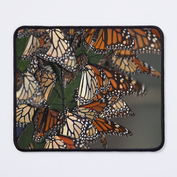 Item preview, Migrating Butterflies designed and sold by CarolM.