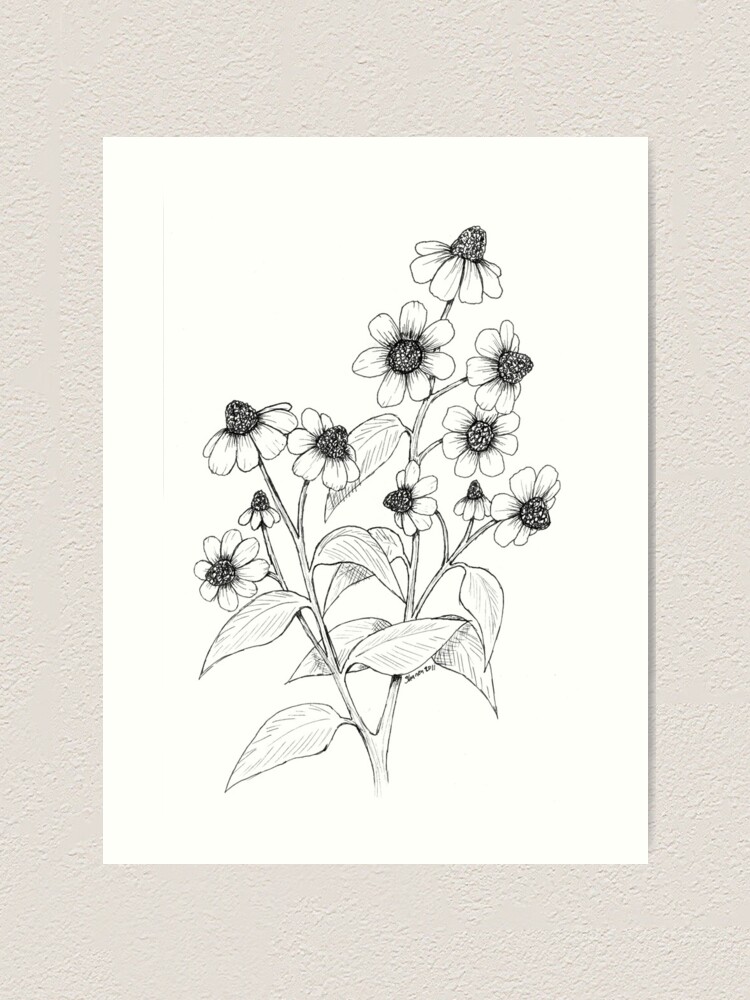 Wildflower Drawings Art Print By Shaney442 Redbubble
