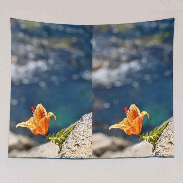 Item preview, Beauty by the Waters designed and sold by JulieMaxwell.