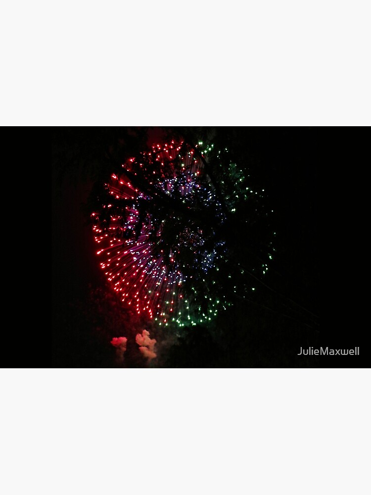 Fire Flower Fireworks by JulieMaxwell