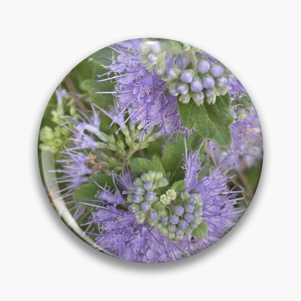 Item preview, Carióptera flowers, Cariópteris designed and sold by Ponted.