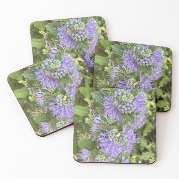 Item preview, Carióptera flowers, Cariópteris designed and sold by Ponted.