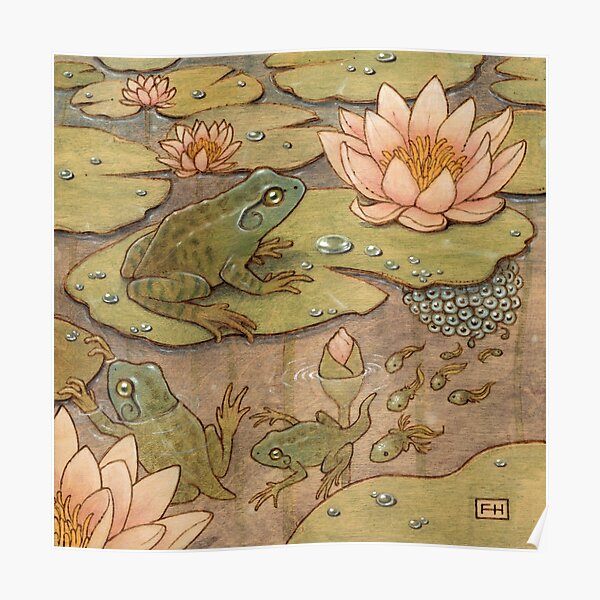 Frog Life Cycle Poster