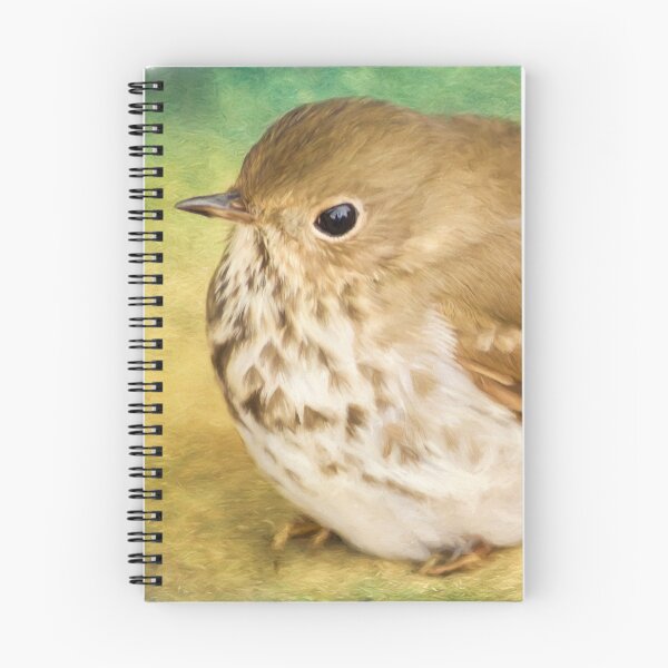 Item preview, Bird Art - Patiently Waiting designed and sold by Jordan Blackstone.