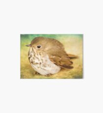 Bird Art - Patiently Waiting Art Board