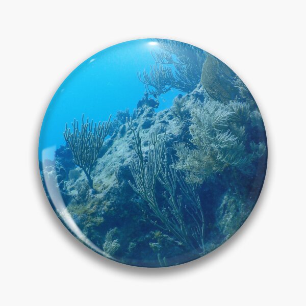 Item preview, Underwater Coral Reef Photography designed and sold by Sydney-Michelle.