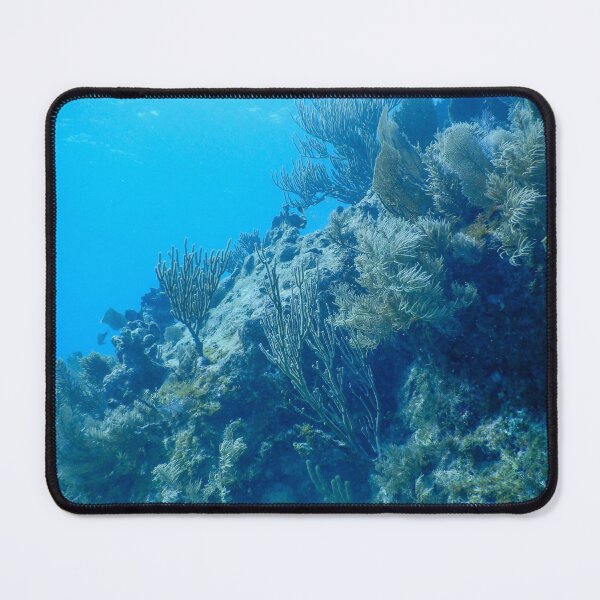 Item preview, Underwater Coral Reef Photography designed and sold by Sydney-Michelle.