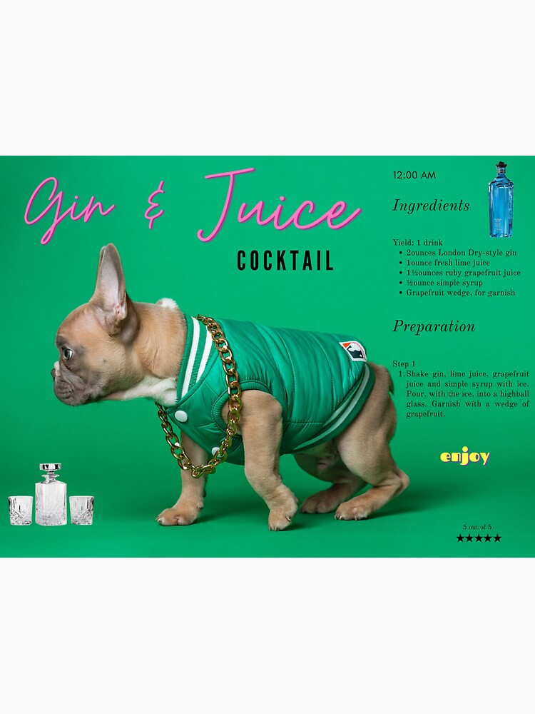 "Gin and juice cocktail ingredients & preparation vintage martini
