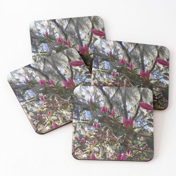 Item preview, Time to Bloom designed and sold by Sydney-Michelle.