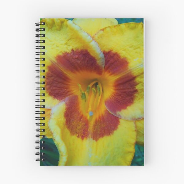 Item preview, Daylily - Fooled Me designed and sold by James Brotherton.
