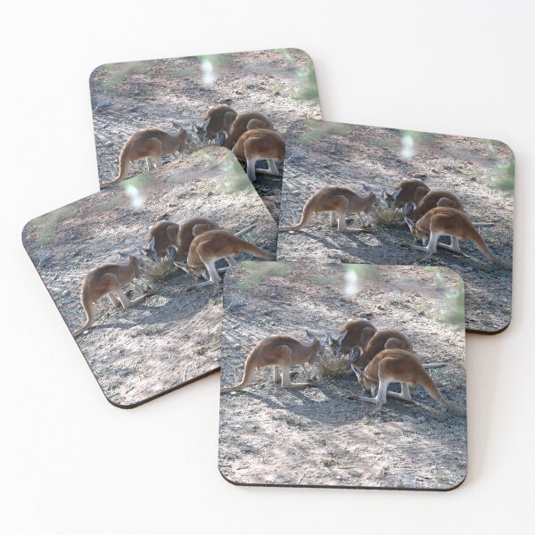 Item preview, Red Roos In The Northern Territory Of Australia. designed and sold by Ralph de Zilva.