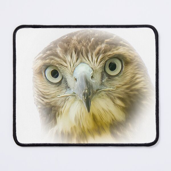 Item preview, I See You Hawk designed and sold by rmyerphoto.