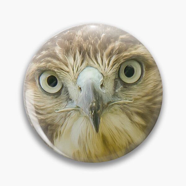 Item preview, I See You Hawk designed and sold by rmyerphoto.