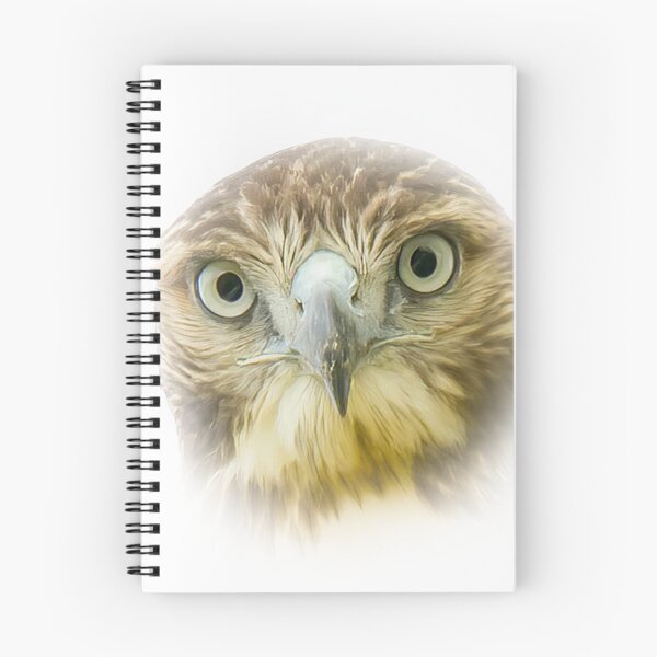 Item preview, I See You Hawk designed and sold by rmyerphoto.