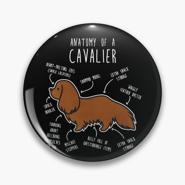 Item preview, Ruby Cavalier King Charles Spaniel Dog Anatomy designed and sold by Clara Hollins.