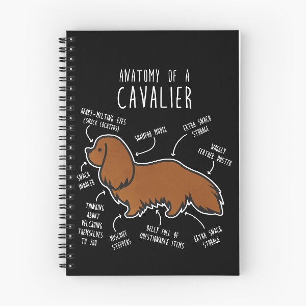 Item preview, Ruby Cavalier King Charles Spaniel Dog Anatomy designed and sold by Clara Hollins.