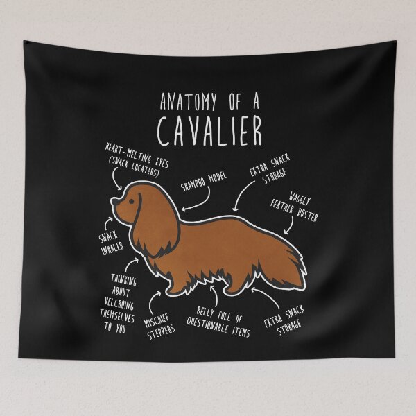 Item preview, Ruby Cavalier King Charles Spaniel Dog Anatomy designed and sold by Clara Hollins.