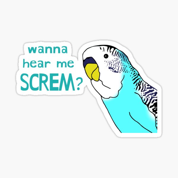 Item preview, mind if I SCREM? - budgie doodle designed and sold by FandomizedRose.