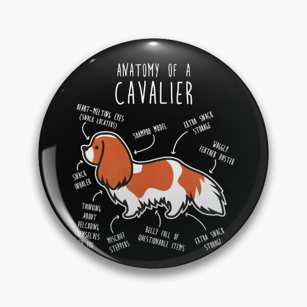 Item preview, Blenheim Cavalier King Charles Spaniel Dog Anatomy designed and sold by Clara Hollins.