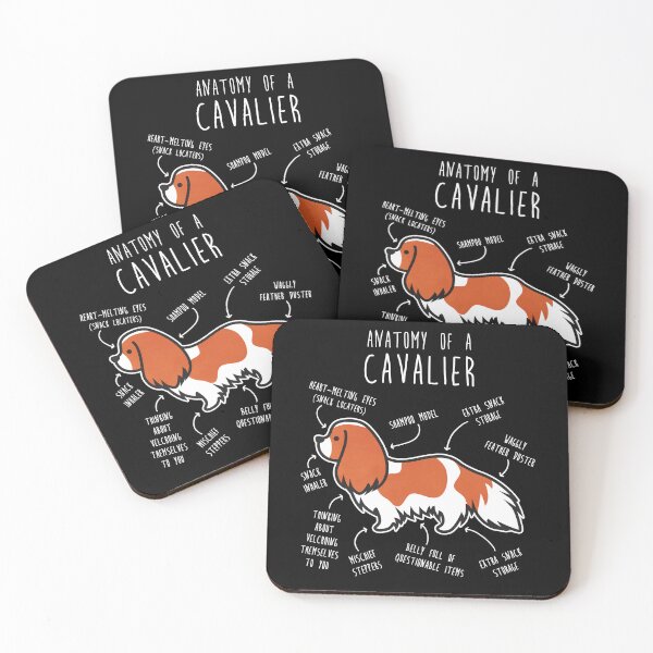 Item preview, Blenheim Cavalier King Charles Spaniel Dog Anatomy designed and sold by Clara Hollins.