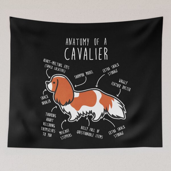 Item preview, Blenheim Cavalier King Charles Spaniel Dog Anatomy designed and sold by Clara Hollins.