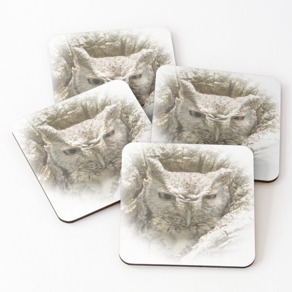 Item preview, Screech Owl Staring designed and sold by rmyerphoto.