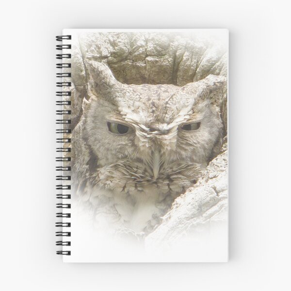 Item preview, Screech Owl Staring designed and sold by rmyerphoto.