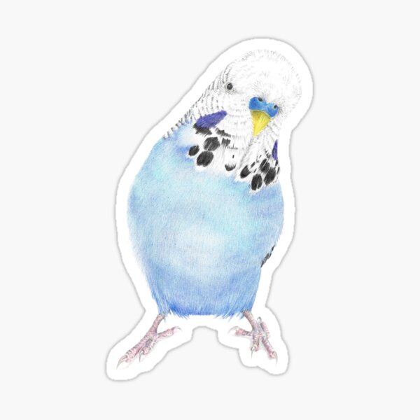 Item preview, Louie the blue budgie designed and sold by ArtbyLeanneWB.