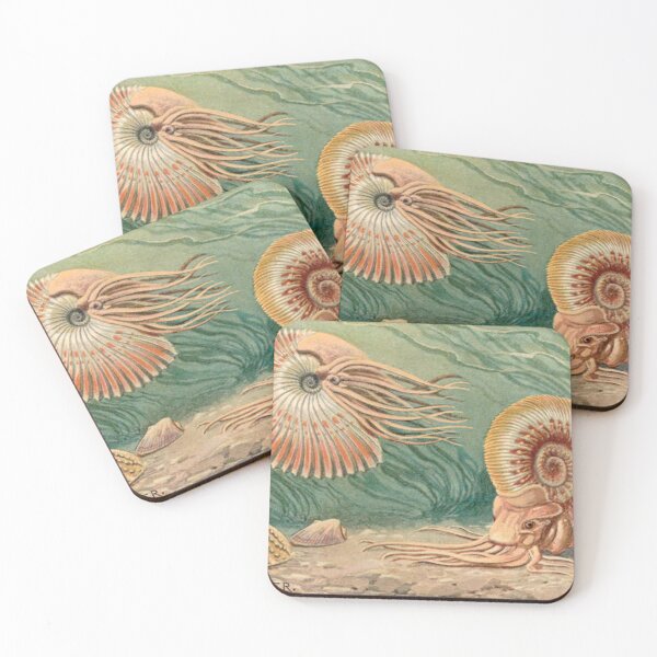 Item preview, Ammonoid designed and sold by Twisted Wick.