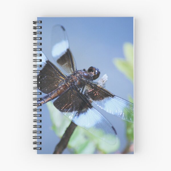 Item preview, Dragonfly designed and sold by Laurie Minor.