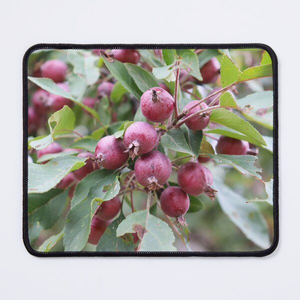 Item preview, Crabapples designed and sold by CJGrimes.