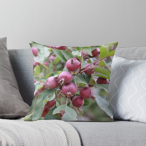 Item preview, Crabapples designed and sold by CJGrimes.