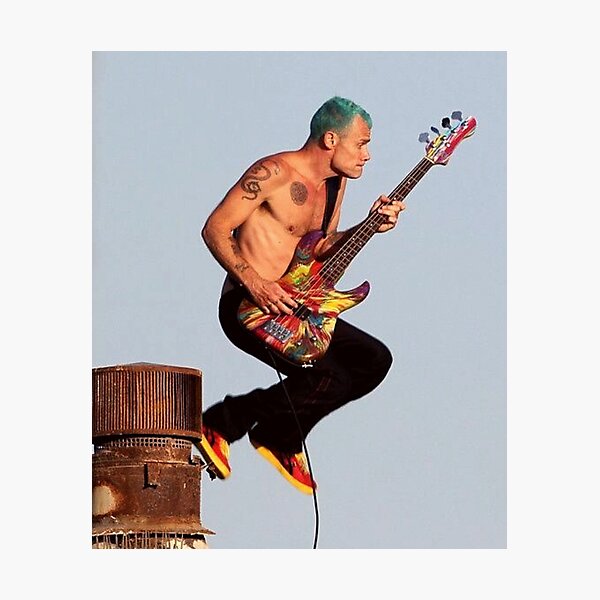 For flea HD wallpapers | Pxfuel