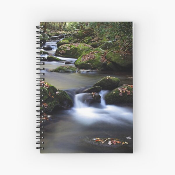 Stairsteps Spiral Notebook