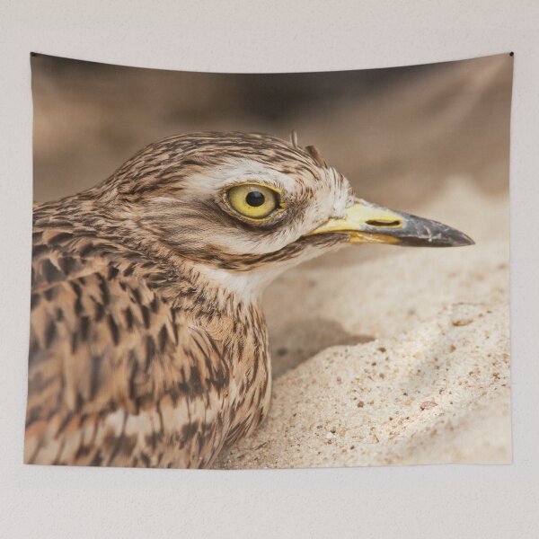 Item preview, Stone-Curlew designed and sold by Dominika Aniola.