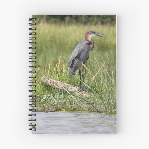 Item preview, Uganda Murchison Falls National Park Grand Heron Heron Waterfowl River River Nile Grassland shore designed and sold by eickys.