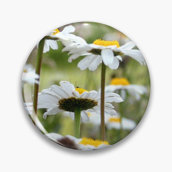 Item preview, Daisies designed and sold by wumplekin.