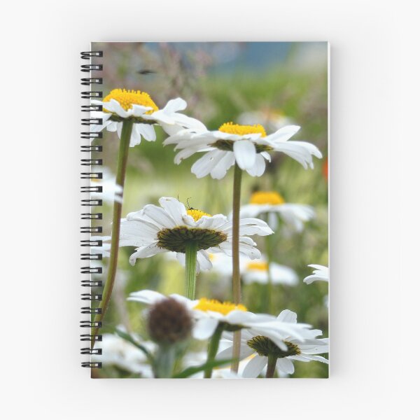 Item preview, Daisies designed and sold by wumplekin.