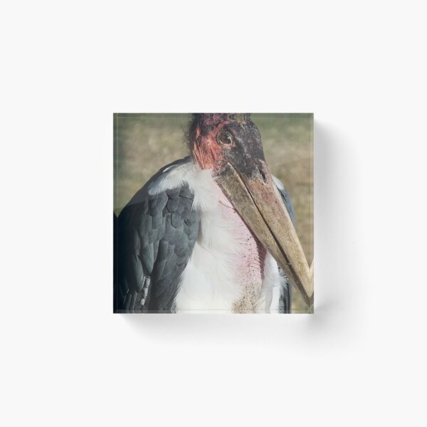 Item preview, The marabou  designed and sold by Martina Nicolls.
