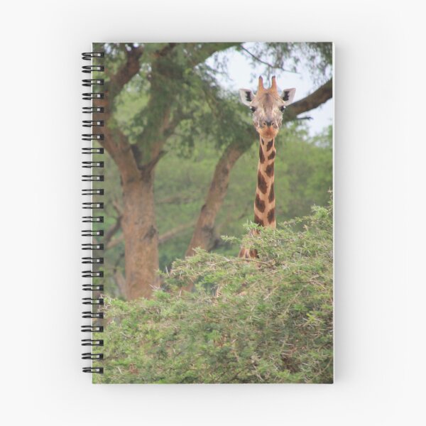 Item preview, Uganda Murchison Falls National Park Giraffe Thorny Acacia Tree Bush designed and sold by eickys.