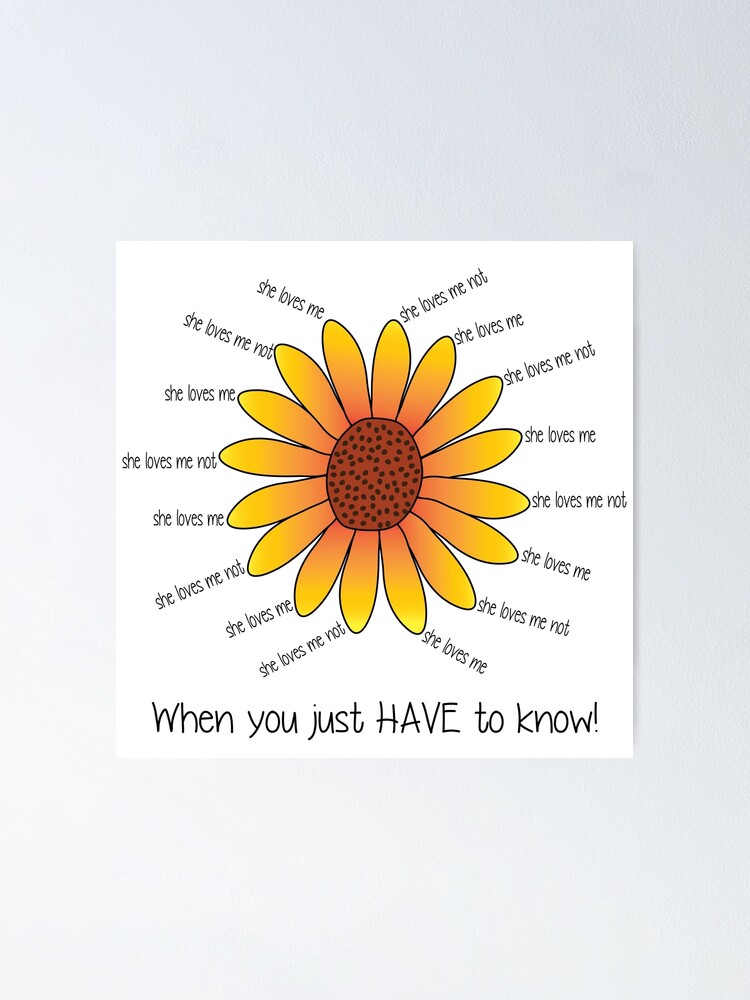 She Loves Me She Loves Me Not Flower Poster By Identiti Redbubble